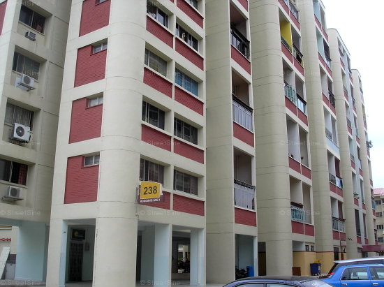Blk 238 Hougang Avenue 1 (S)530238 #248302